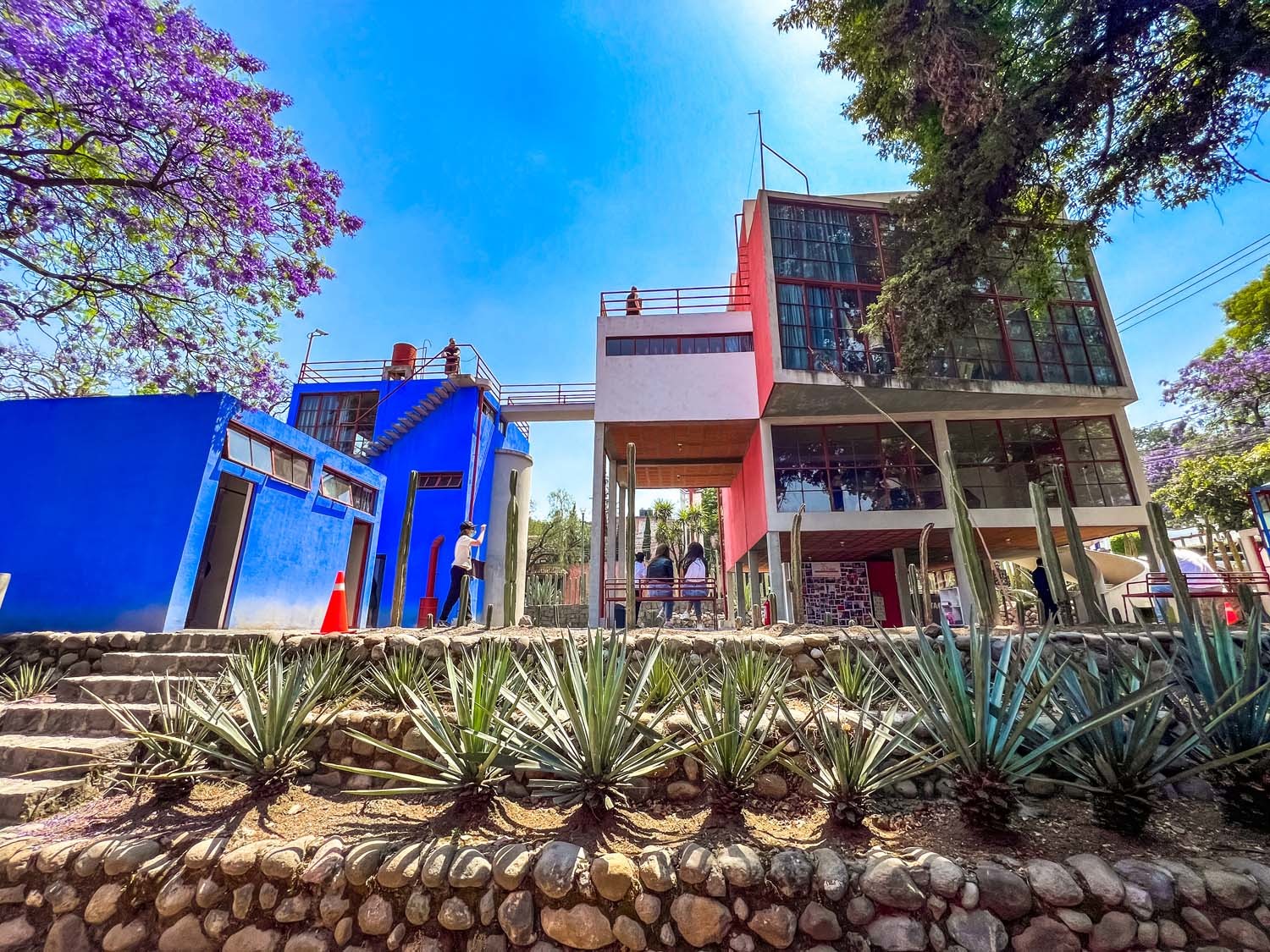 Museo casa estudio de Frida y Diego